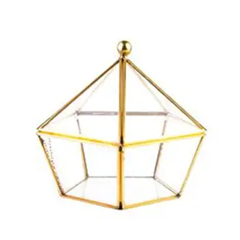 

Vintage Decorative Jewelry box Brass Glass Terrarium Container Desktop Planter for Succulent Fern Moss Air Plants Holder