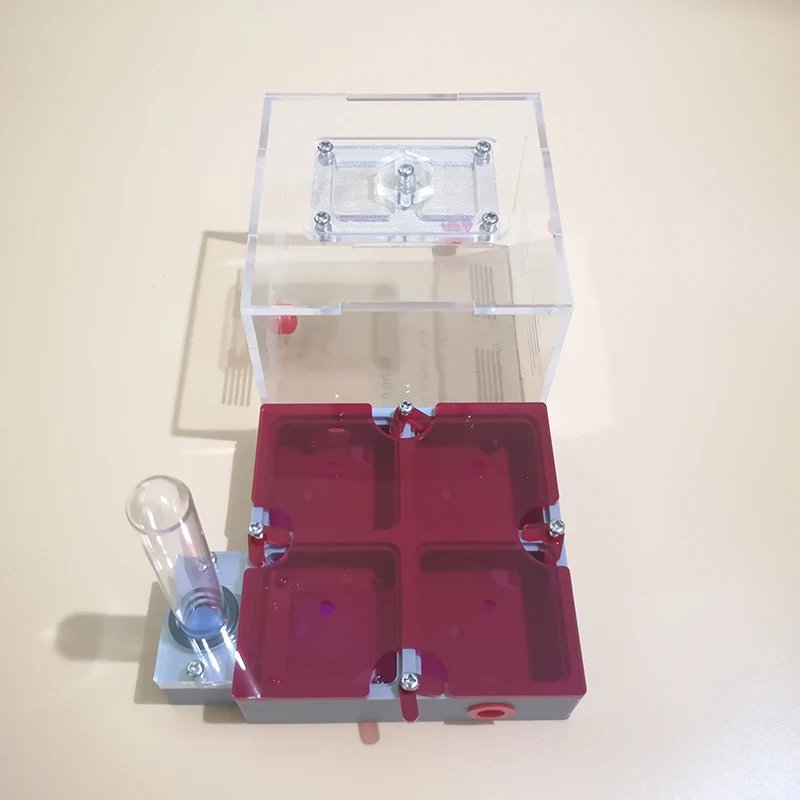 Granja de hormigas de gran tamaño, nido plano con tubos de prueba y visera solar, matriz de impresión 3D, suministros de insectos