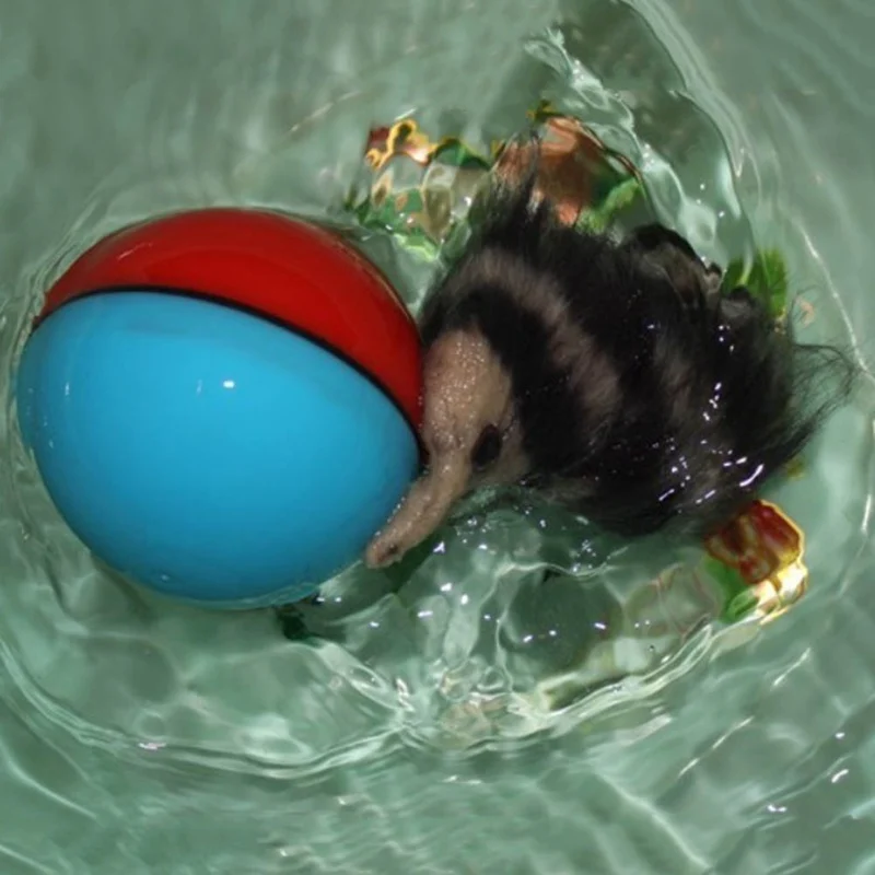 Электрическая игрушка Coypu мяч игрушка мяч с Бобром вода мышь игрушка будет плавать верх мяч Электрический игровой мяч цвет случайный