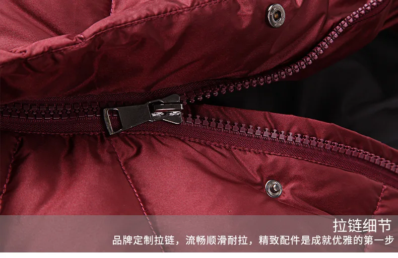 High-End Winter Elegant Korean-style Street WOMEN'S Dress Long Sleeve Hooded Slim Fit down Jacket