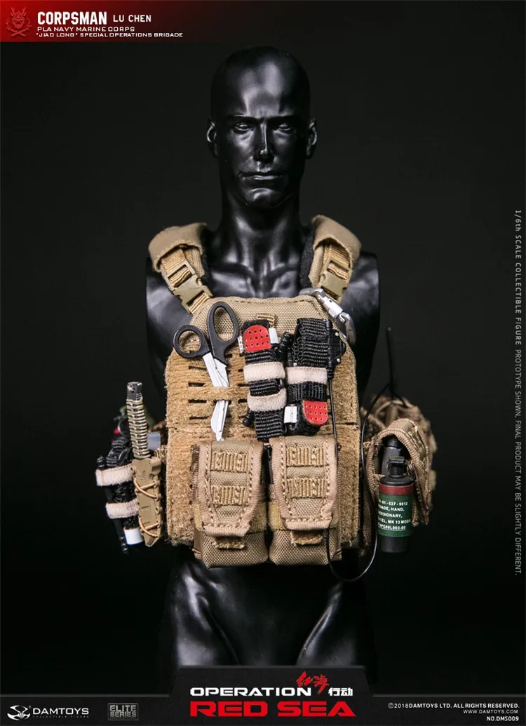 DAMTOYS 1/6 операция Красное море Цзяо длинные спецоперации команды оператора корпсман Лу Чэнь Коллекция фигурка