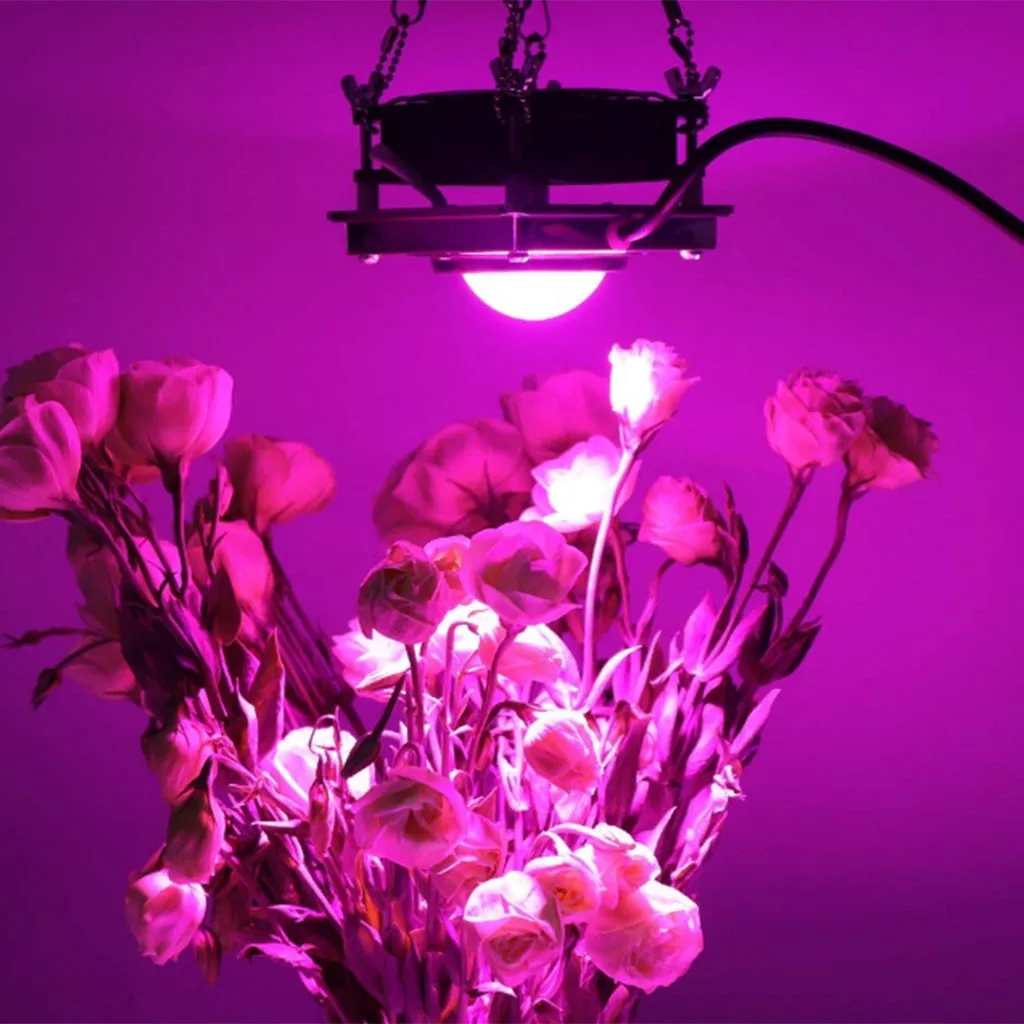 300 Вт COB Светодиодная лампа для выращивания растений для растений цветок Крытый гидропоники теплицы полный спектр светодиодный светильник для выращивания растений