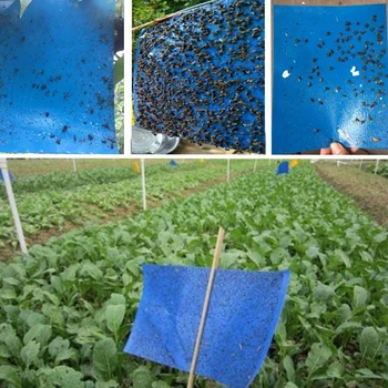 

20PC Sticky Fly Trap Paper Dual-Sided Blue Traps Fruit Flies Insect Glue Catcher Outdoor Fly Board Bait Flies Double Traps