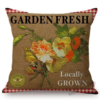 conew_n285 (6) 副本