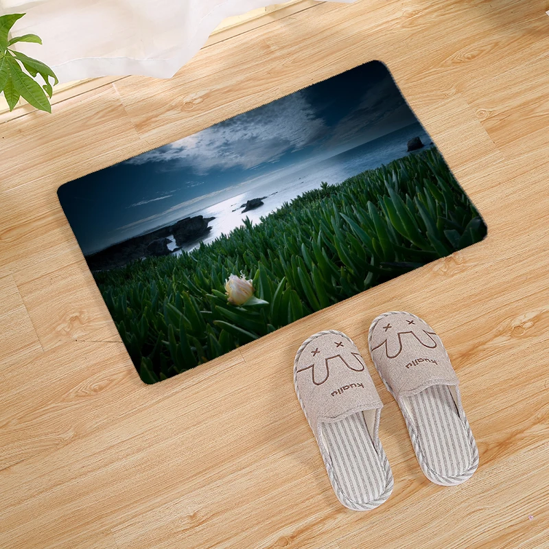 10 Natural Scenery Print Home Mat Outdoor Doormat Kitchen Floor Carpet Rugs Insole Kitchen Rugs Indoor Bathroom Non-slip Floor Mats - Цвет: 10