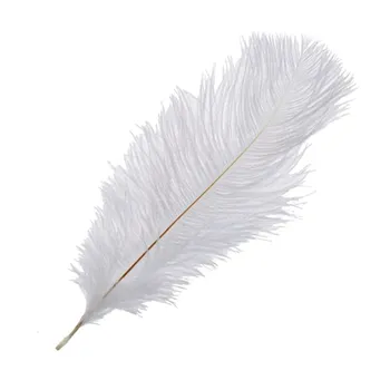

Newest 10 Pieces White Natural Ostrich Feather 20-25cm Wedding DIY
