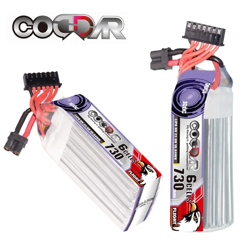 

1/2/3/4/5/8/10pcs CODDAR 730mAh 6S 22.8V 100C Hardcase LiPo LiHV Battery and charger for 1:8 1/8 RC Car Four Drive Off-Road Boat