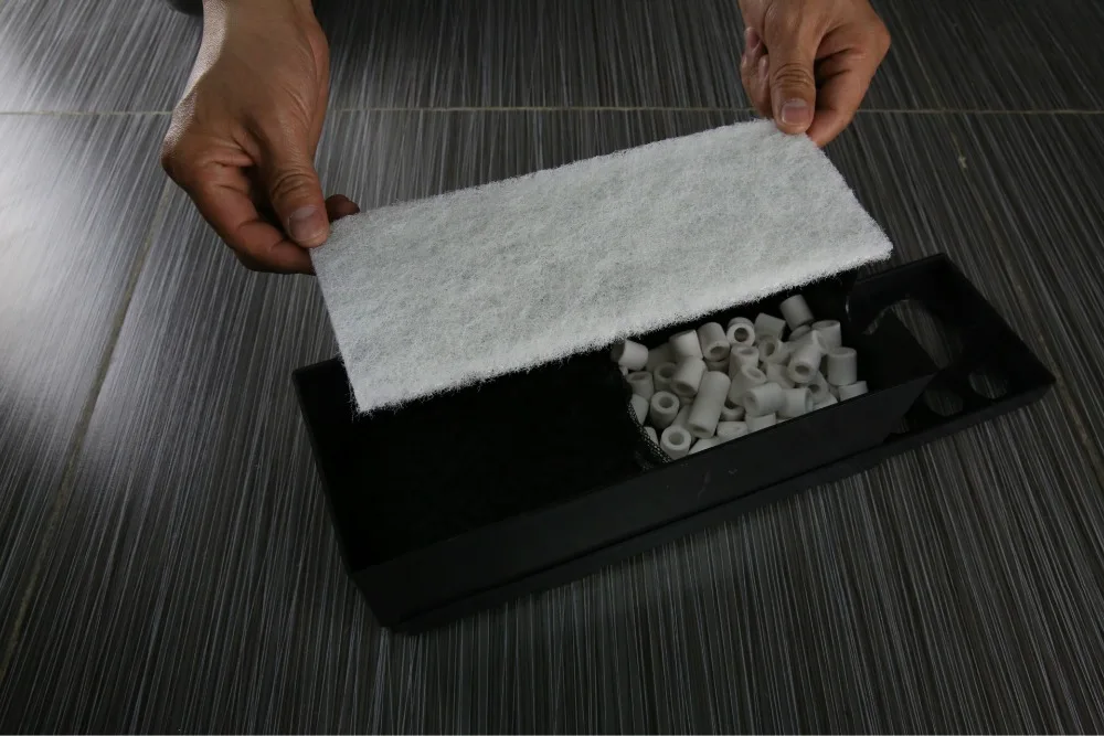 2433681832_336265134