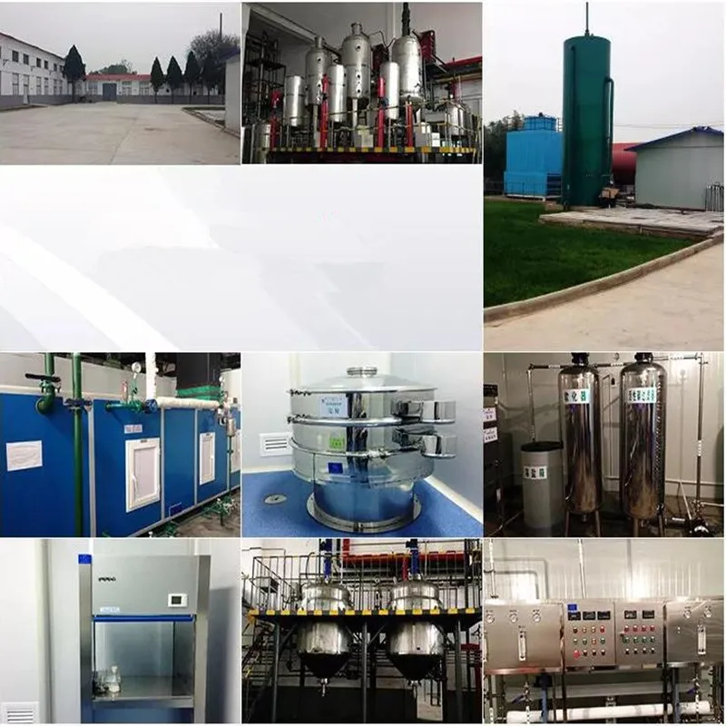 360截图20190519084958513