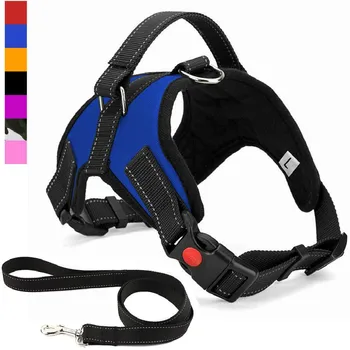 

No Pull Dog Harness Breathable Adjustable Comfort Free Leash Included for Small Medium Large Dog Best for Training Walking
