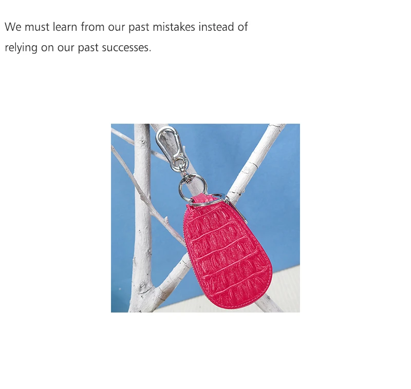 Fashion quality chengguan CL2388 genuine leather Crocodile pattern Car keypack men women car key bag Keychain Key Wallet