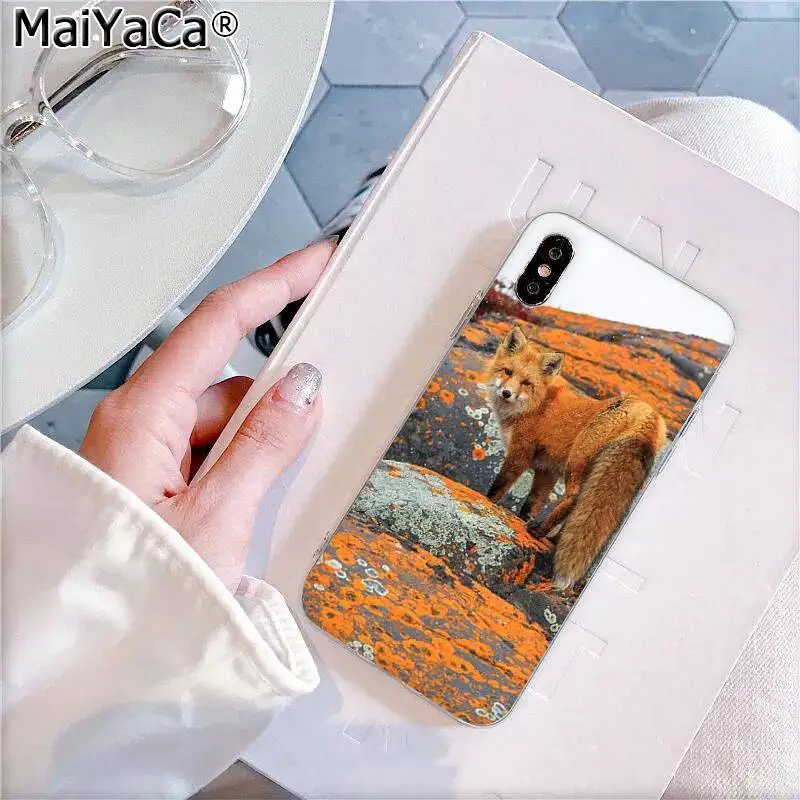 MaiYaCa милый лисичка в осенние листья лес DIY роскошный высококачественный чехол для телефона для Apple iphone 11 pro 8 7 66S Plus X XS MAX 5S SE XR - Цвет: A11