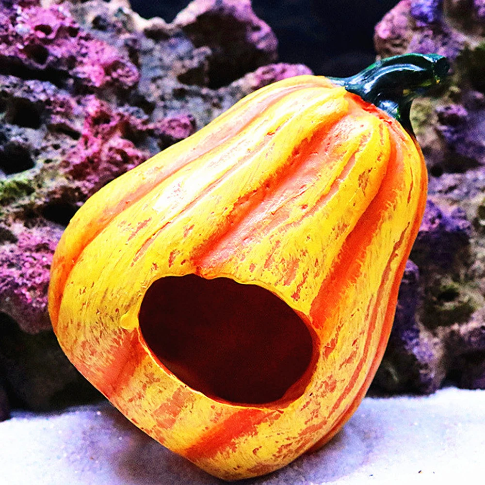 10964505854_1103982721