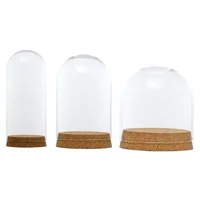 Home Decor Vases Glass Flower Display Cloche Bell Jar Dome Immortal Preservation Wooden Base Everlasting Flower Glass Cover - Image 3
