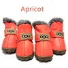 apricot