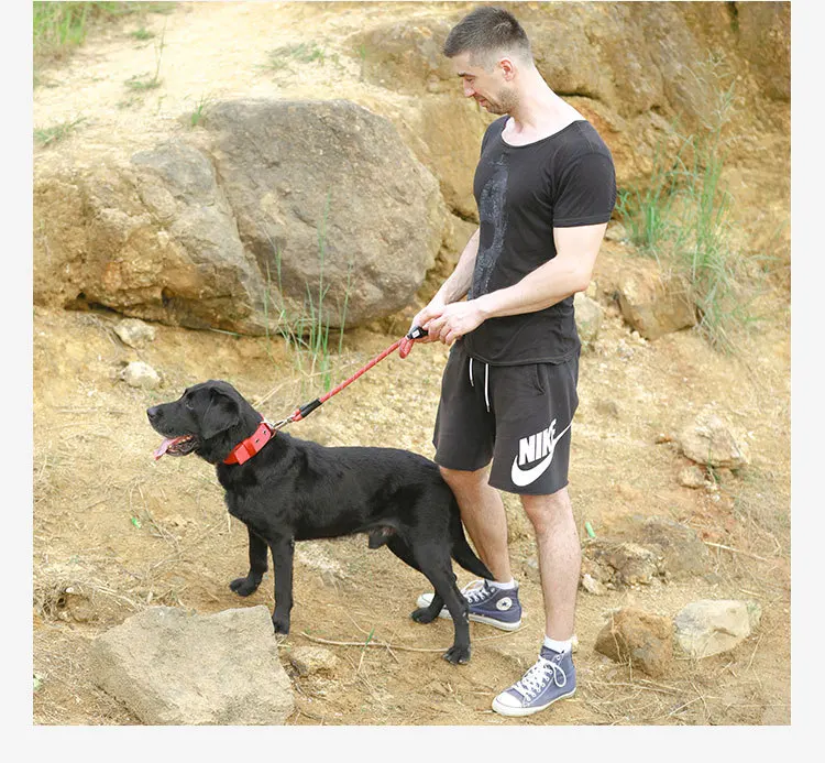 12098707224_1026663116