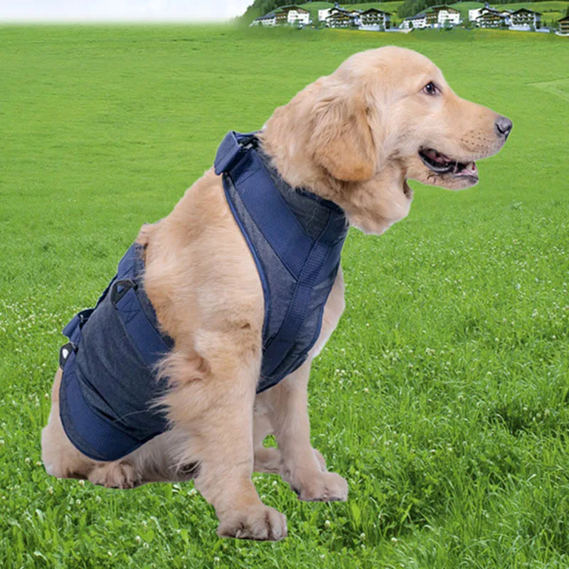 

New Pet Dog Assist Harness Hind Limb Rehabilitation Exercise Belt Dog Walking Lifting Carry Lift Support Harness