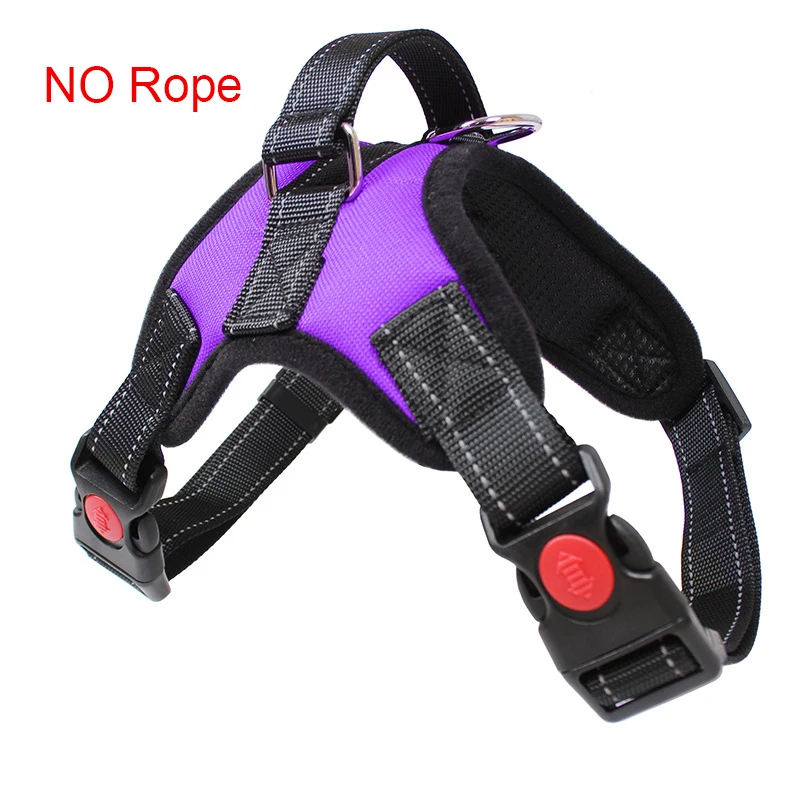 12380261809_1648768732