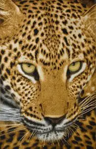 

Lord (35x55) in a single frame