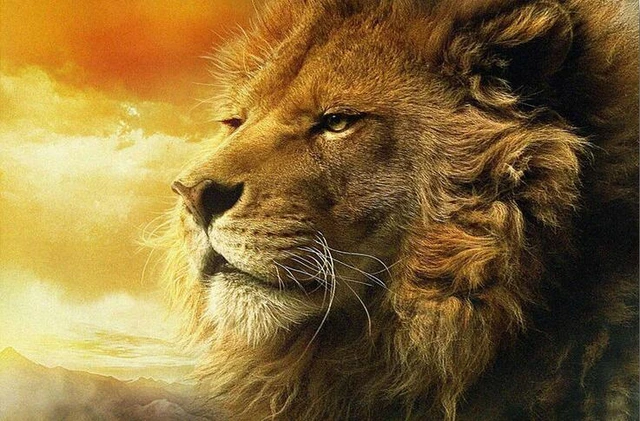 Aslan the lion of narnia