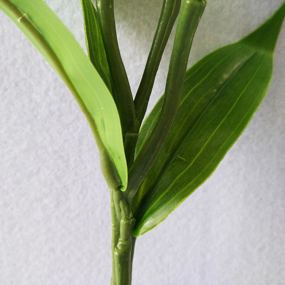 YYPA0060-1-YYPA0060-4-D2