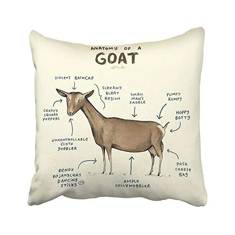 Goat Gurrl 18 x18 Pillowcase