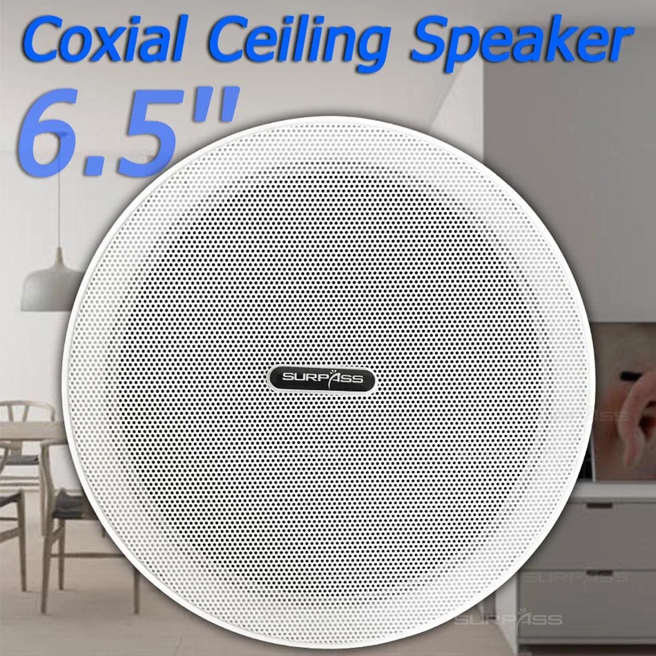 Акустическая система PA 6 5 дюймовый Coxial потолочный динамик пассивный на крышу