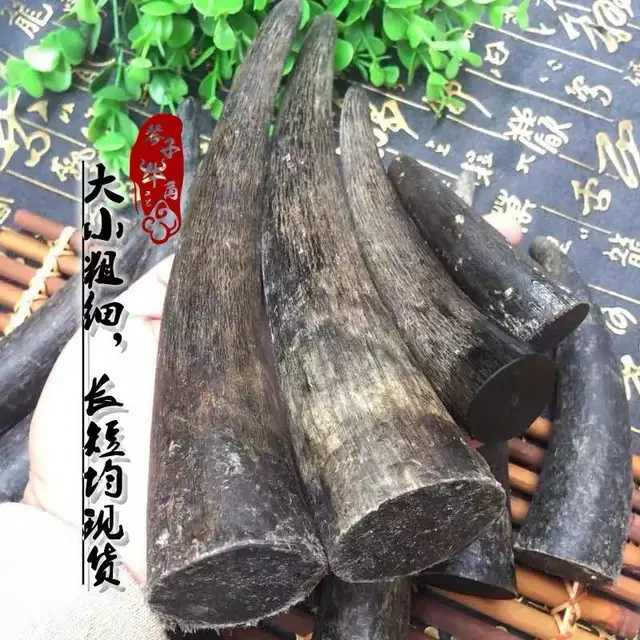 1Pc Természetes Fekete Bivaly Kürt Nyersanyag Fogantyú Szilárd Tömítés Anyag Konyhai Kés Kézvédő - Image 4