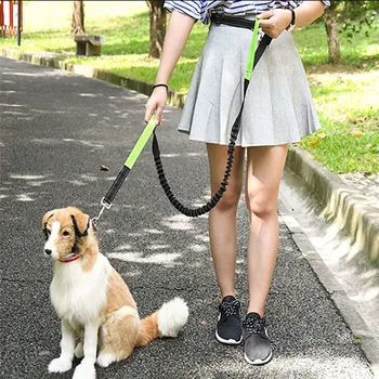 

Dogs Hands Free Leash Leash Running Bag Elasticity Hand Freely Harness Collar Jogging Lead Adjustable Waist Rope Waist Belt