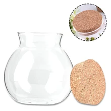 Милый дизайн чай кофе сахар Стеклянные Канистры цветочное растение ваза QT