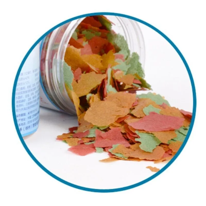 QQ图片20190909125331