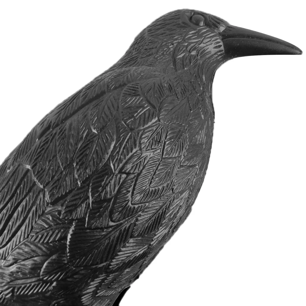 455304_98e9cf22277b4188bc137adce0472882