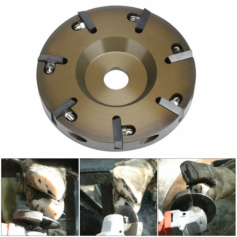 

Hoof Cutter Disc Dishs 7 Knives Electric Cow Hoof Trimming Plate Hoof Cutter Disc Best Price