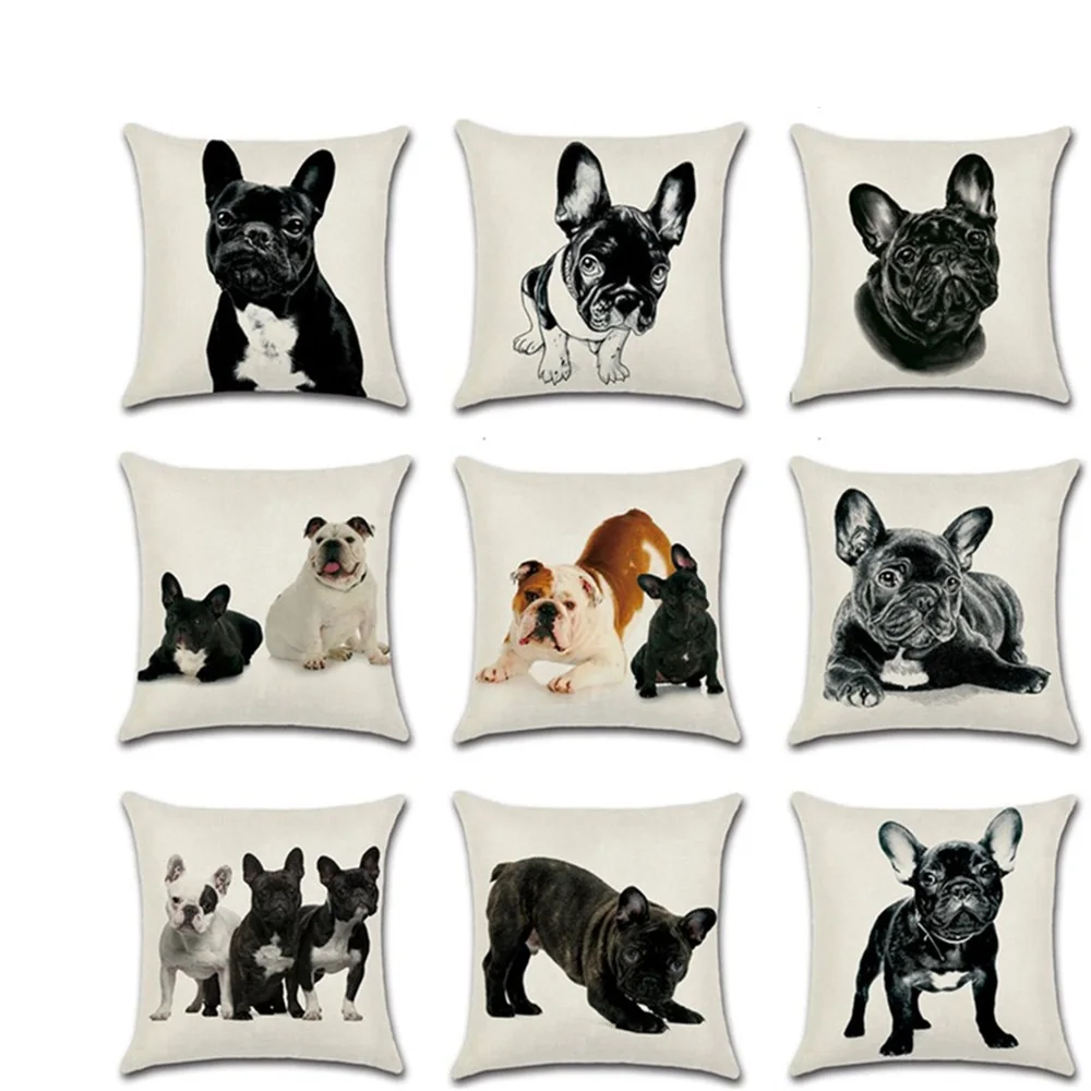 11088173492_238682448