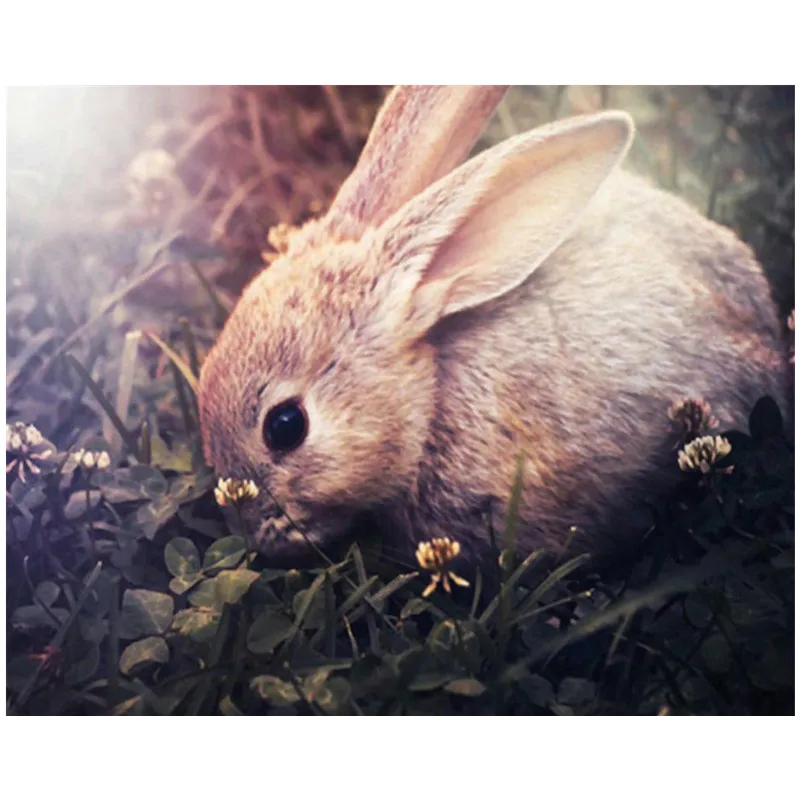 

Painting By Numbers DIY Dropshipping 40x50 60x75cm Flowers foraging rabbits Animal Canvas Wedding Decoration Art picture Gift