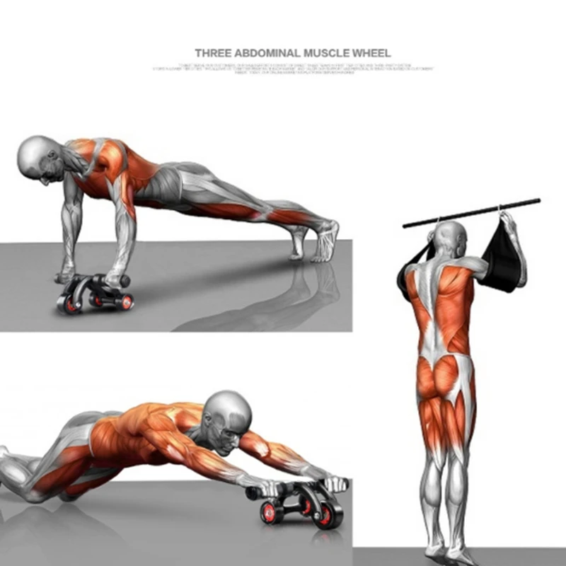 ABZB-Ab Wheel Roller Exercise for Home Gym-Fitness Equipment&Accessories