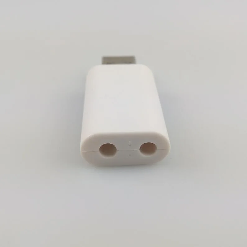 2 hole usb Поплавок перезаряжаемый аккумулятор CR425 USB зарядное устройство для электронных поплавки батареи Аксессуары для ночной рыбалки снасти B313 - Цвет: 2 hole usb