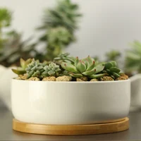Pot de plante succulente en céramique, pot de fleur arrondi profond en porcelaine blanche avec escalier en bambou, table de bureau, bonsaï Zakka 1