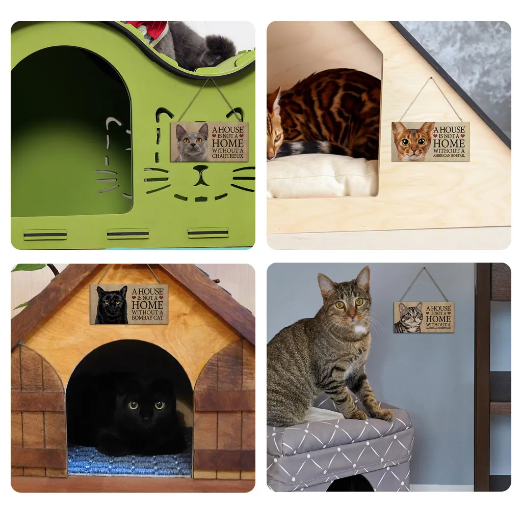 Hb1298d5613ea4d2f814aa79b1d62ca624.jpg?width=1024&height=1008&hash=2032