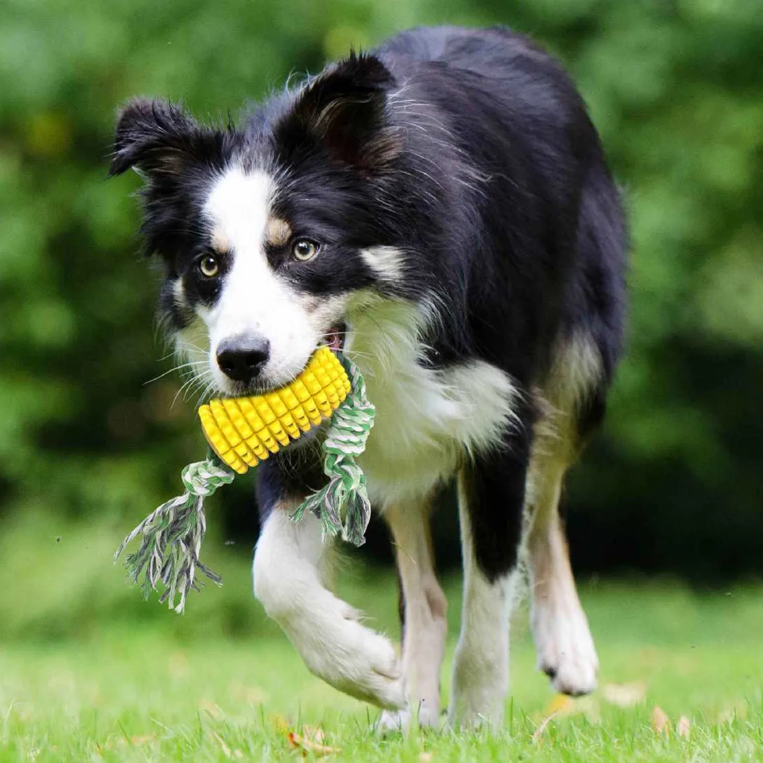 

Corn Bite Resistant Dog Toothbrush Floatable Interactive Toy for Dogs Tooth Cleaning Leaking Dog Toys Supplies Pet Products