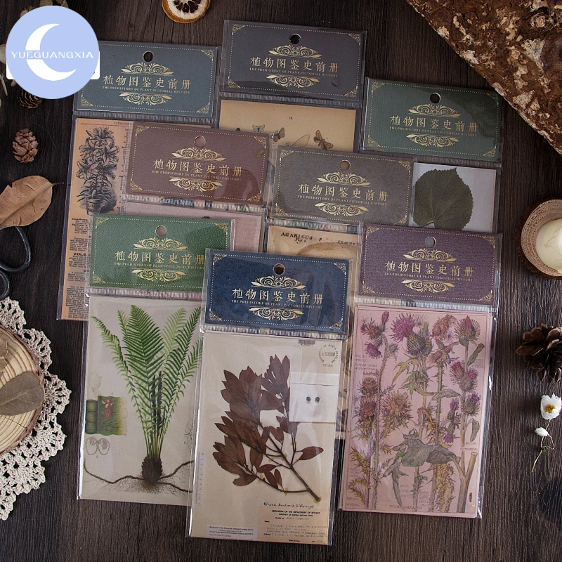 Руководство YueGuangXia Botany для скрапбукинга насекомых Cool Bullet Journal Toy Plants Album
