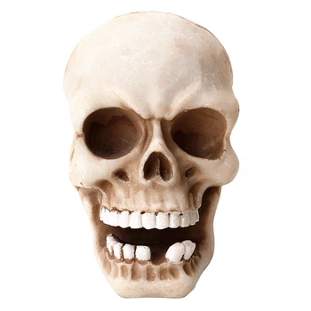 

3D Skull Head Cable Winder Organizer Hook Resin Skeleton Table Ornament Creative Self Stick Headphone Headset Wire Wrap Rack