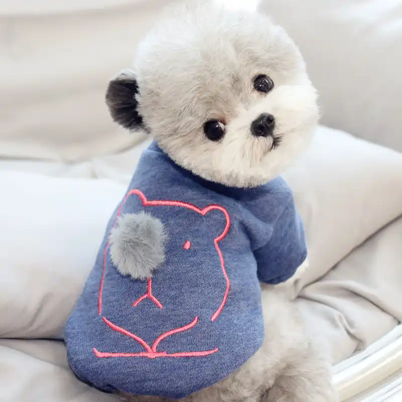 cute clothes for french bulldogs