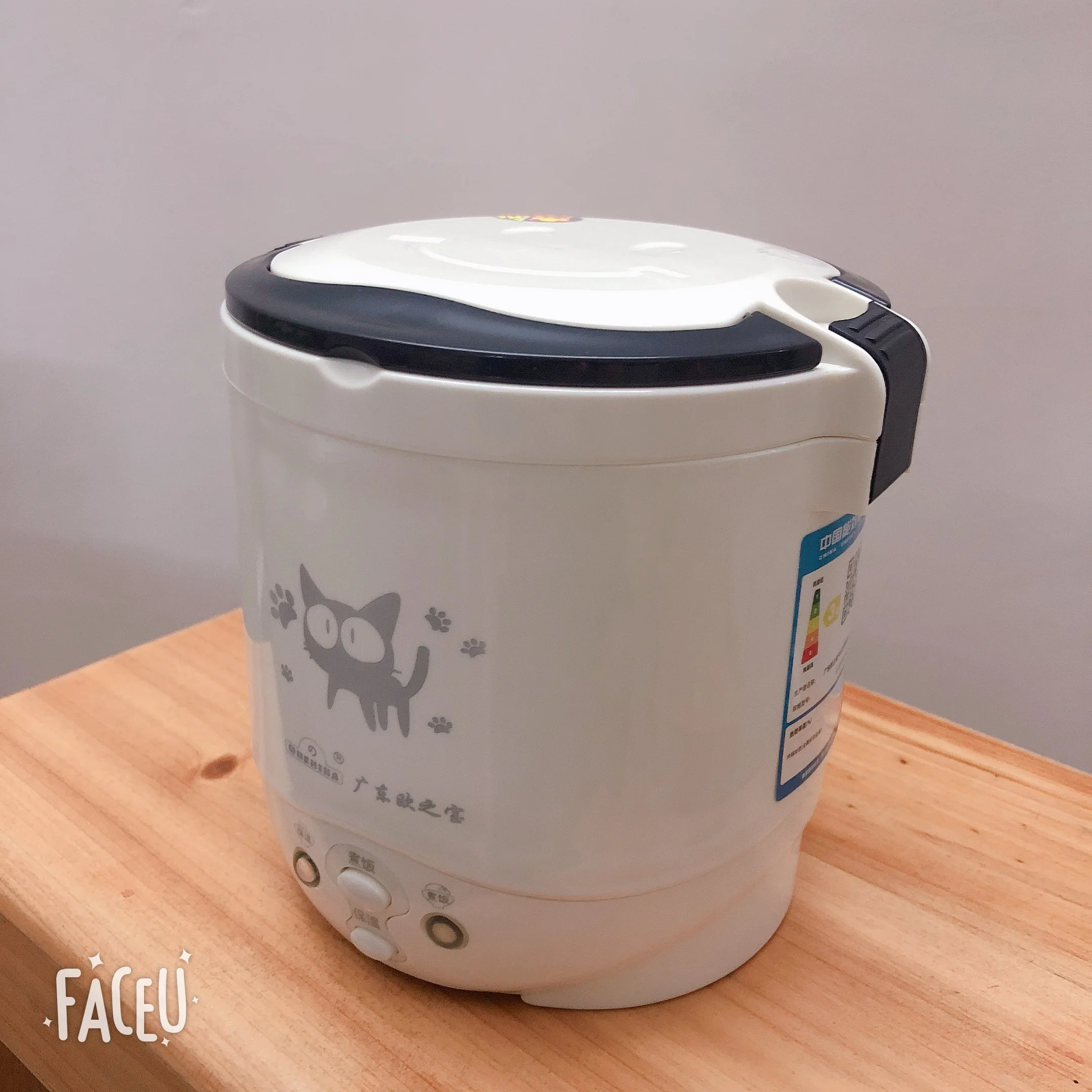 Rice Cooker Electric Cooker Electric Cooking Pot 1L 110V Rice Cooker Used in House Enough for Two Persons with English Instructions to 110V Countries