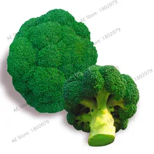 Большая Акция! 10 шт. растения брокколи, цветная капуста, зеленые цветы, овощи для балкона, бонсай, садовые растения,# G0OQ1O