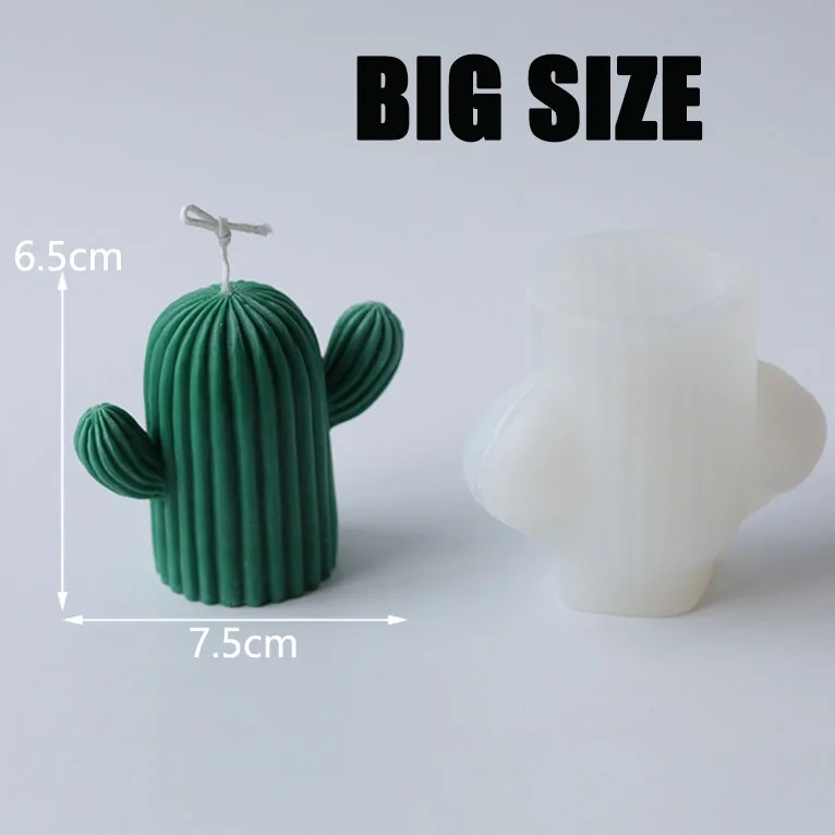 BIG Cactus