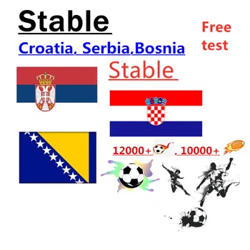 

Croatia Bosnia Android tv screen protector EX-YU Latino Serbia Slovakia Czech Support TV box android m3u enigma2 Smart TV stick