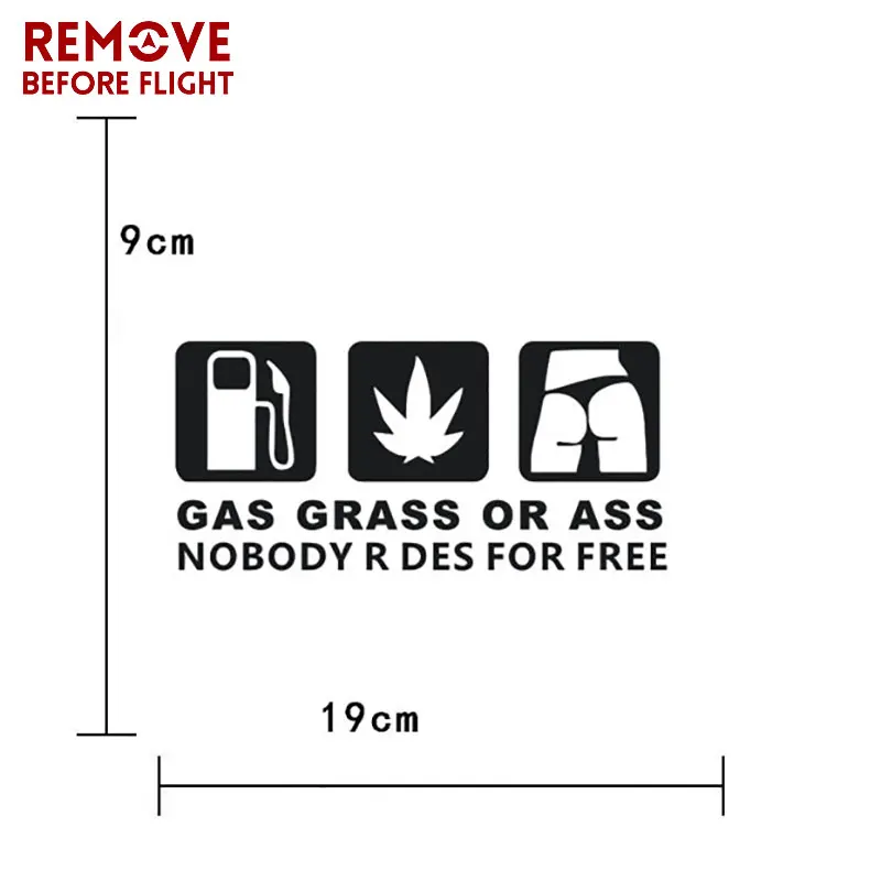 3456168156_1726115355