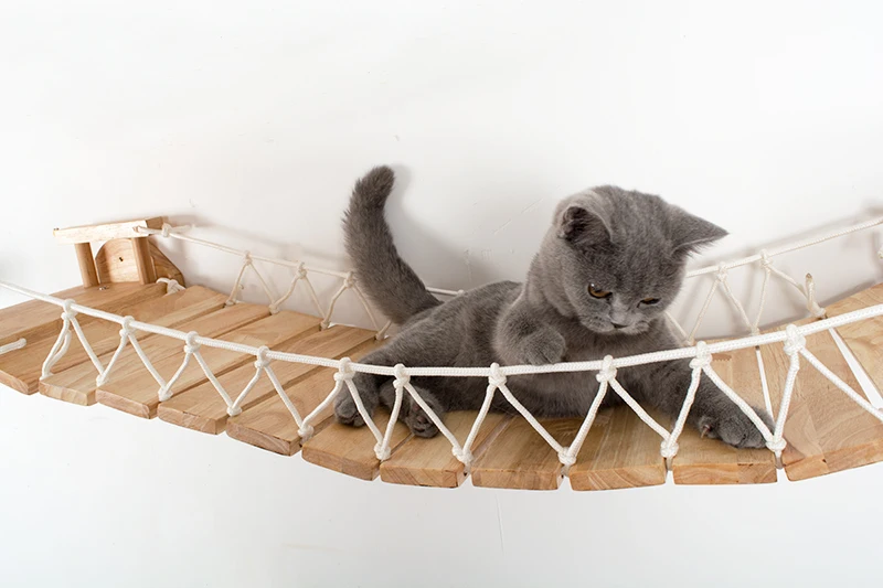 O1CN01xWiBrJ1vWUFBxCYLf_!!462886180