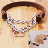 Pet Products